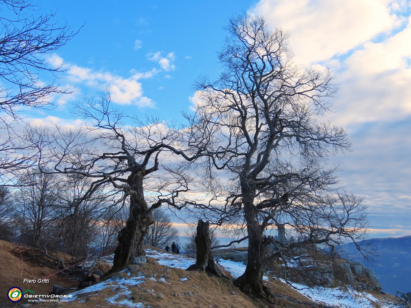 63 Eran Tre Faggi , il terzo caduto per malattia e peso della neve.JPG